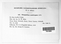 Image Associated With the Occurence